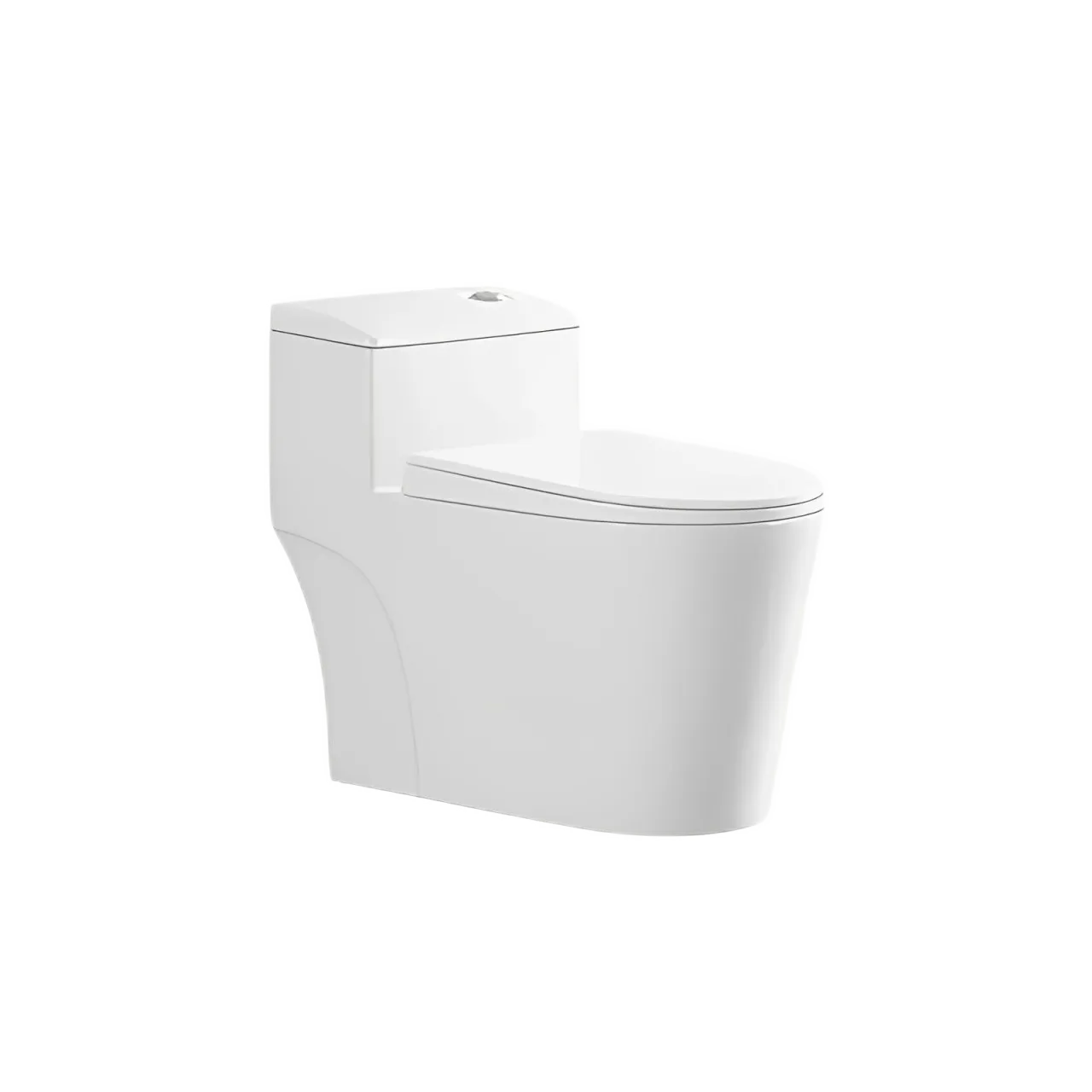 One Piece Toilet Suite (Model T111010) — Toilets — OTOL Sanitary Ware