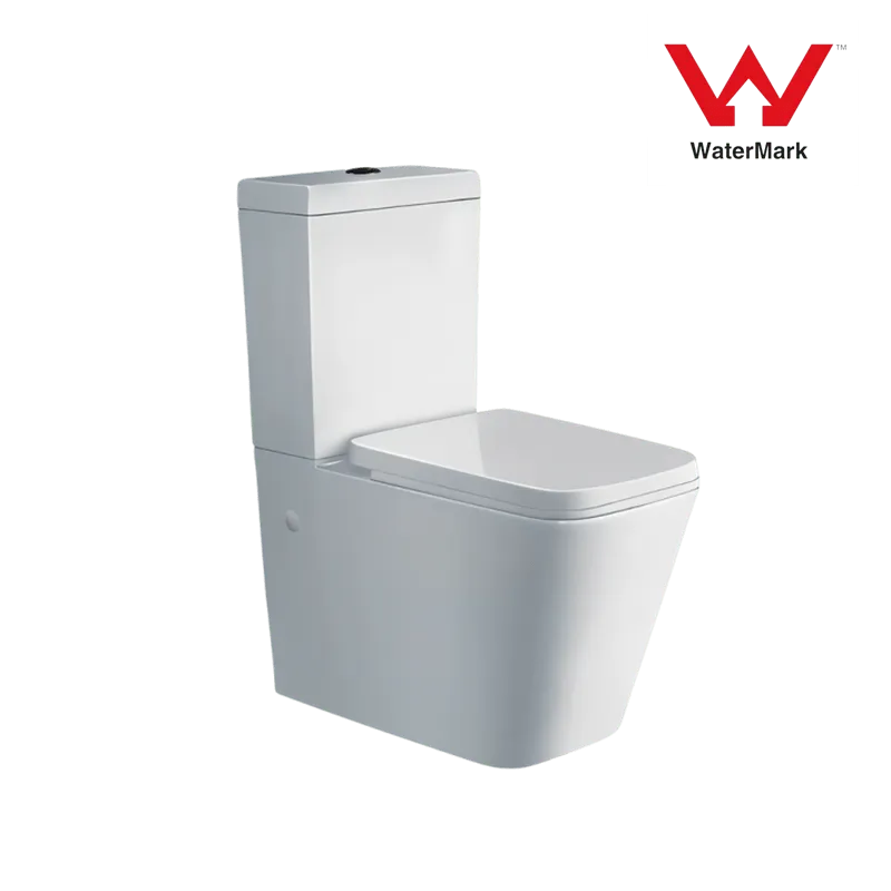 Bathroom Back to Wall Toilet Suites Square Design (Model T112013) — Two-Piece — OTOL Sanitary Ware