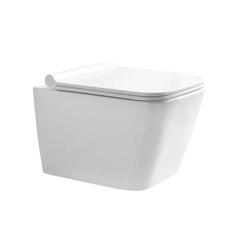 P.Tropez Wall Mounted Toilet (Model T113005) — Wall-Hung — OTOL Sanitary Ware
