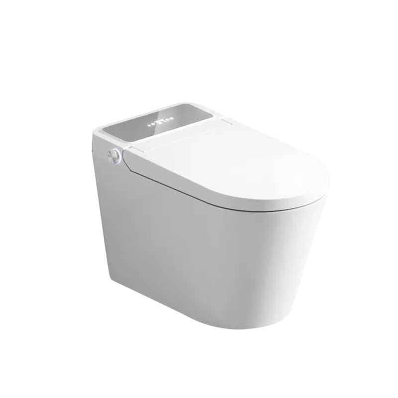 SMART TOILET SUITE