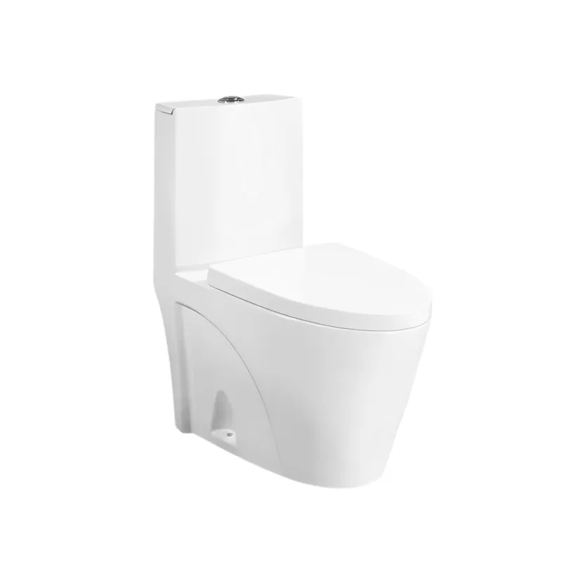 Dual-Flush One Piece Toilet (Model T111005) — One-Piece — OTOL Sanitary Ware